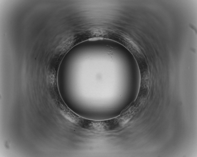 X0000098040417200803281436