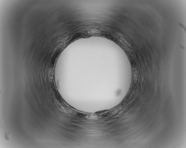 X0000098040419200803281436