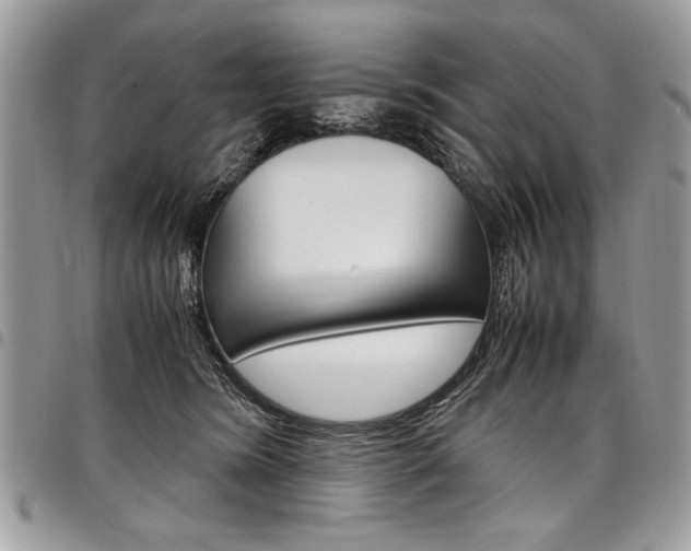 X0000098040420200803281436