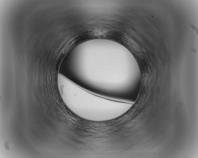 X0000098040421200803281436