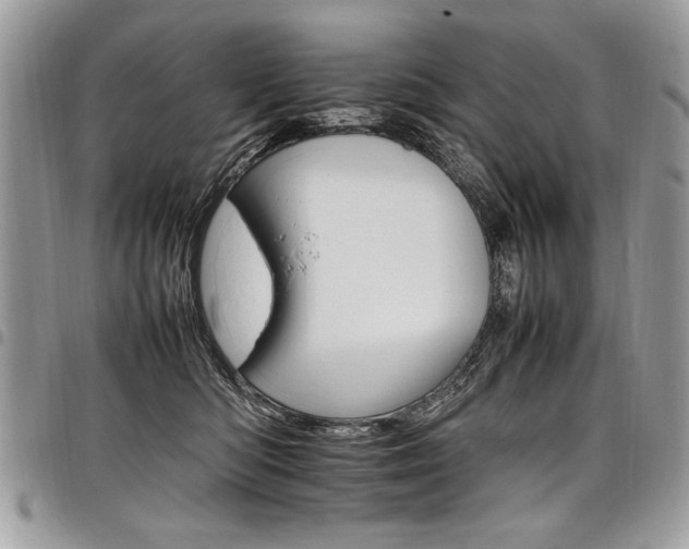 X0000098040422200803281436