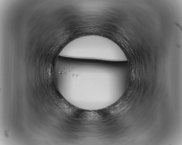 X0000098040424200803281436