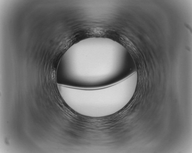 X0000098040425200803281436