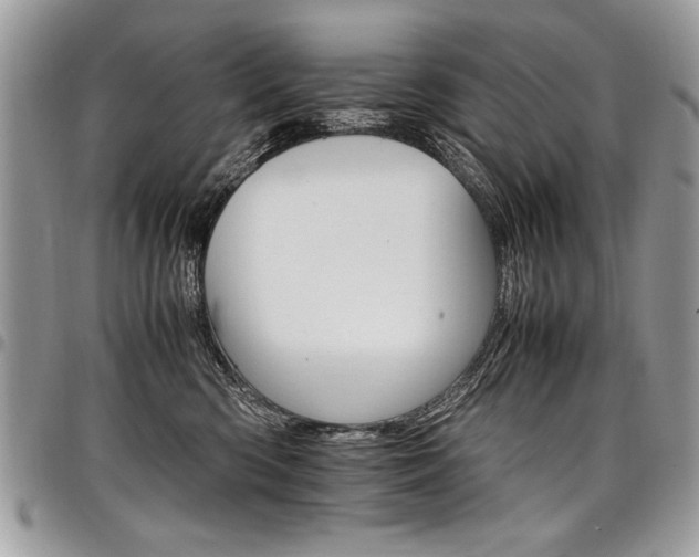 X0000098040426200803281436