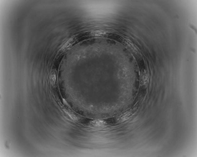 X0000098040427200803281436
