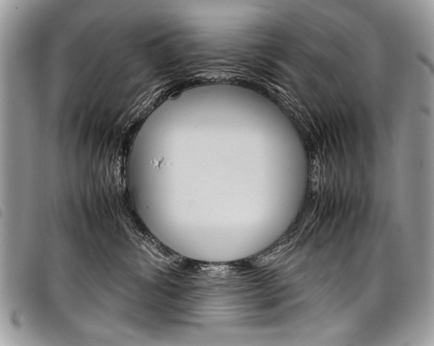 X0000098040428200803281436