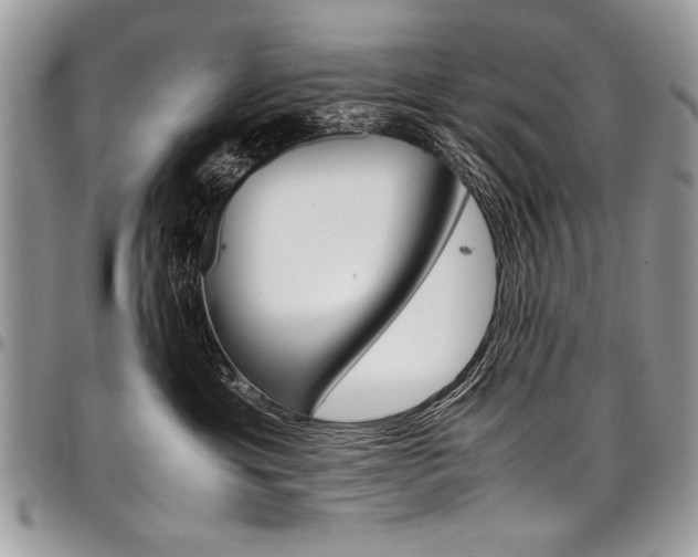 X0000098040429200803281436