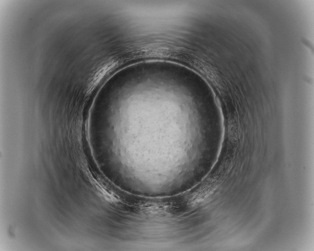 X0000098040434200803281435