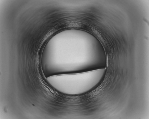 X0000098040435200803281435