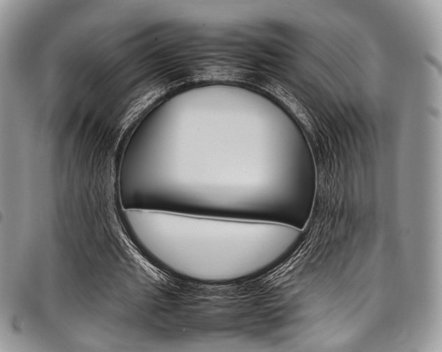X0000098040437200803281435