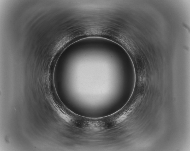 X0000098040439200803281435