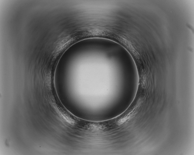 X0000098040442200803281435