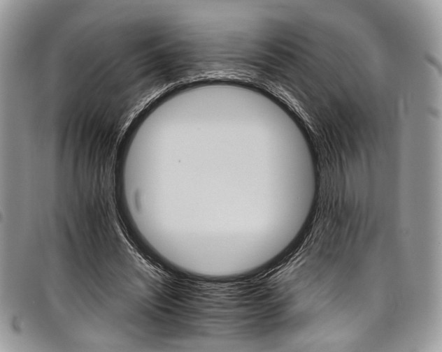 X0000098040444200803281435