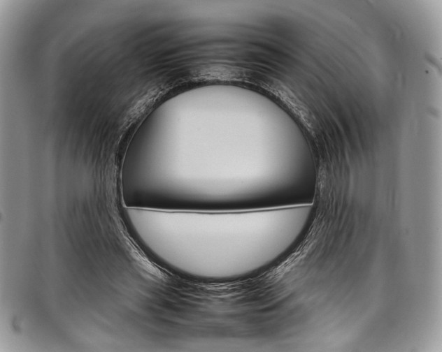 X0000098040445200803281435