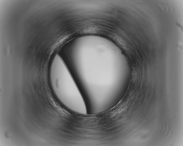X0000098040446200803281435