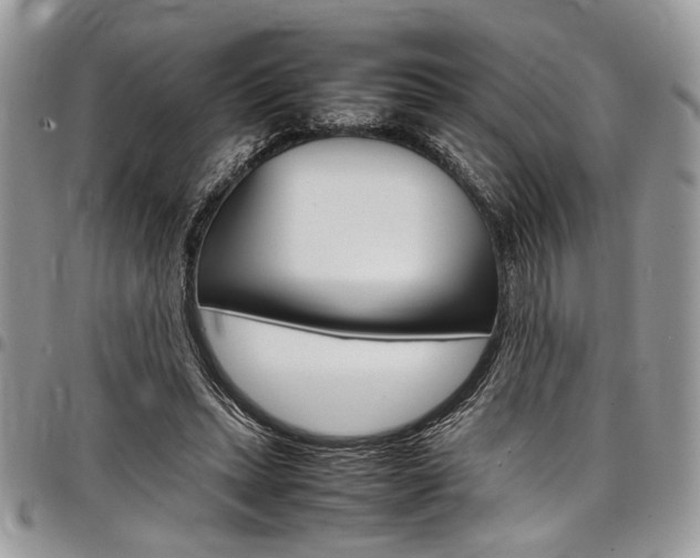 X0000098040447200803281435