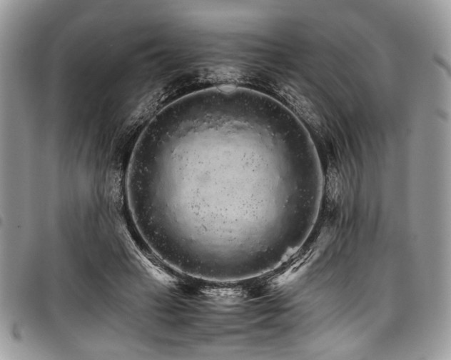 X0000098040449200803281435