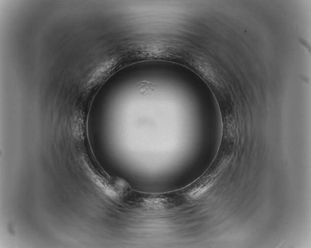 X0000098040450200803281435