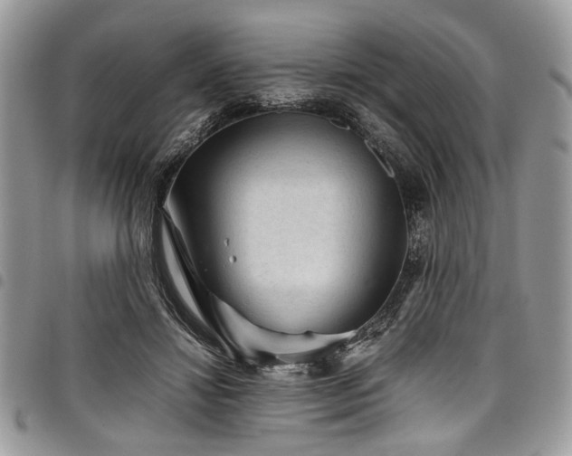 X0000098040452200803281436