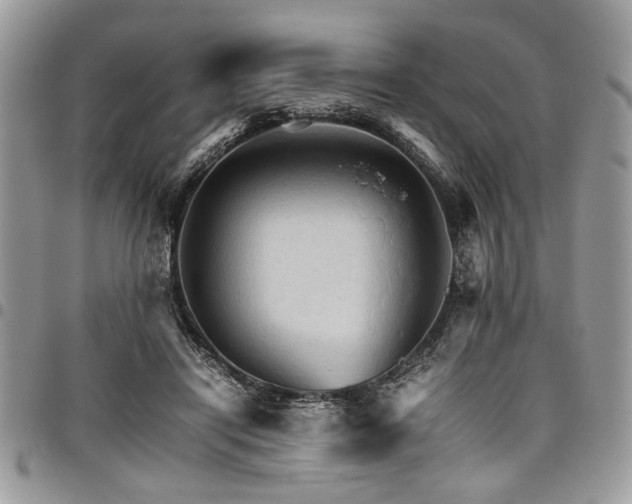 X0000098040454200803281436