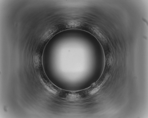 X0000098040455200803281436
