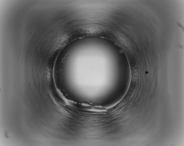 X0000098040456200803281436