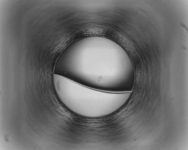X0000098040457200803281436