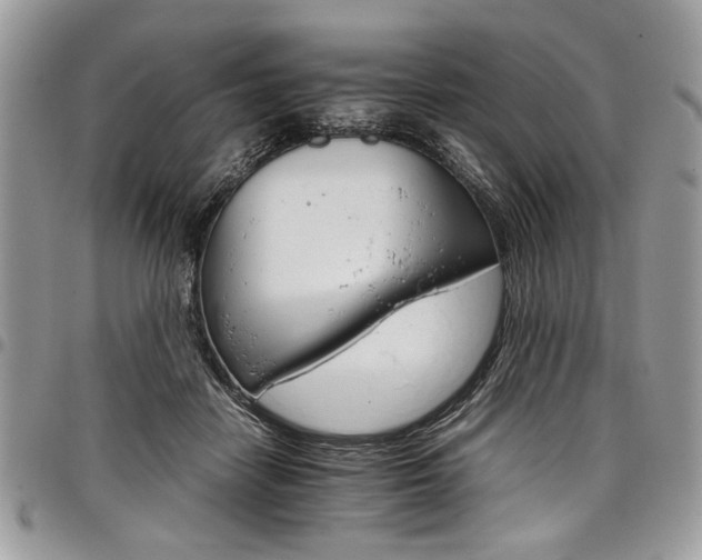 X0000098040458200803281436