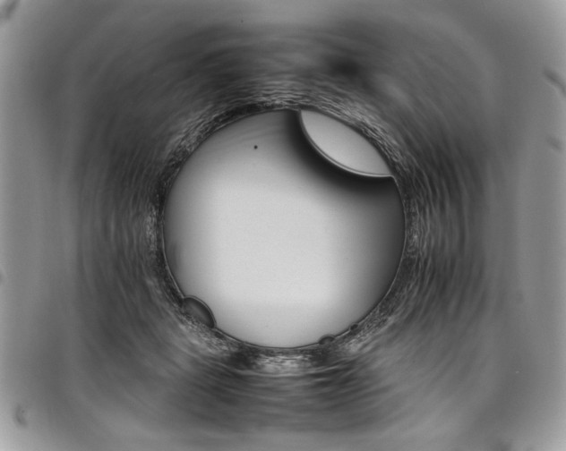 X0000098040461200803281436