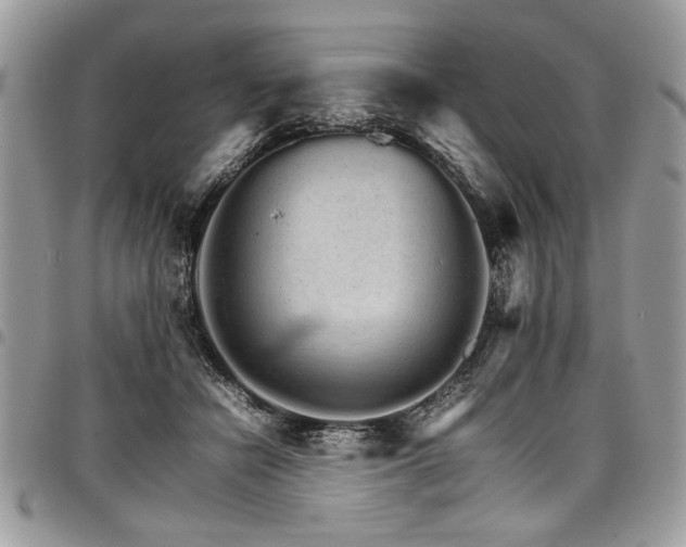X0000098040462200803281436