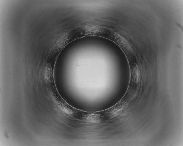 X0000098040463200803281436