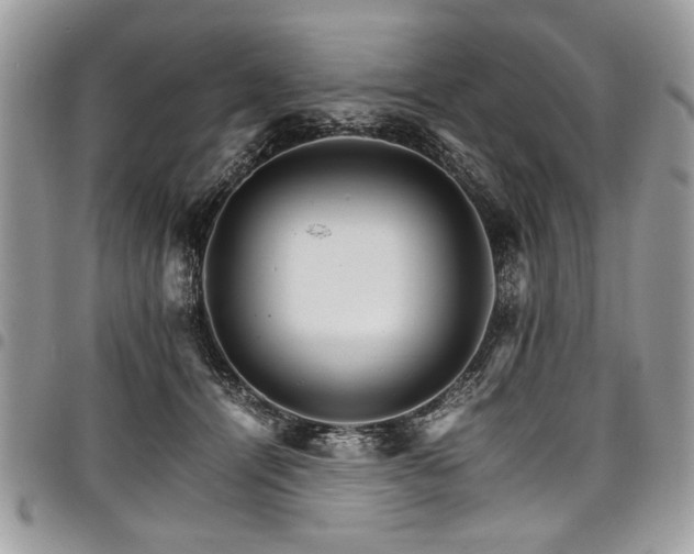X0000098040464200803281436