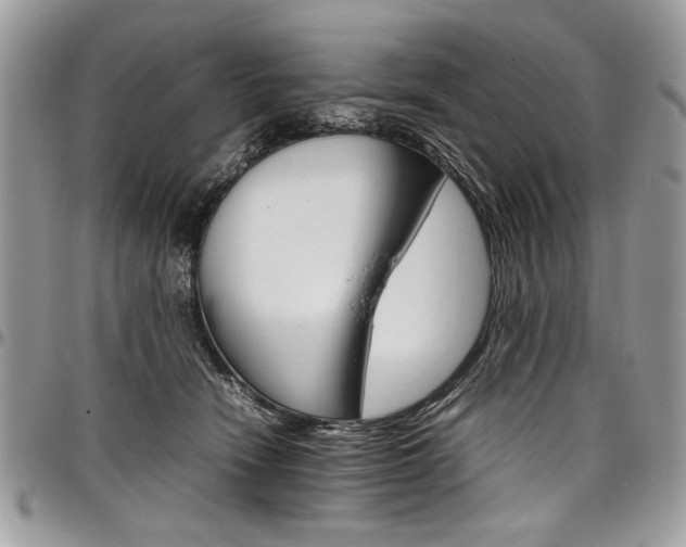X0000098040466200803281436