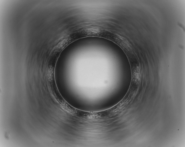 X0000098040468200803281436
