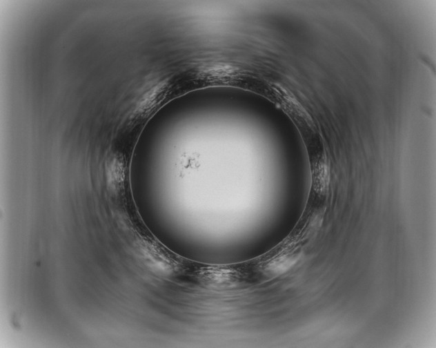 X0000098040472200803281436