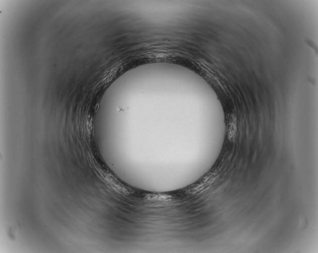 X0000098040476200803281436