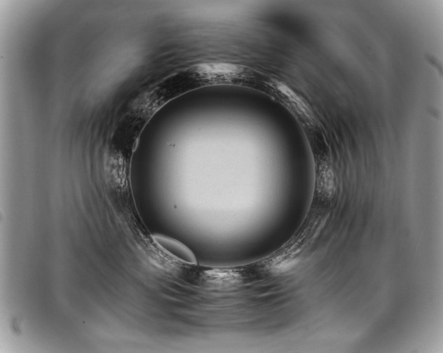 X0000098040477200803281436