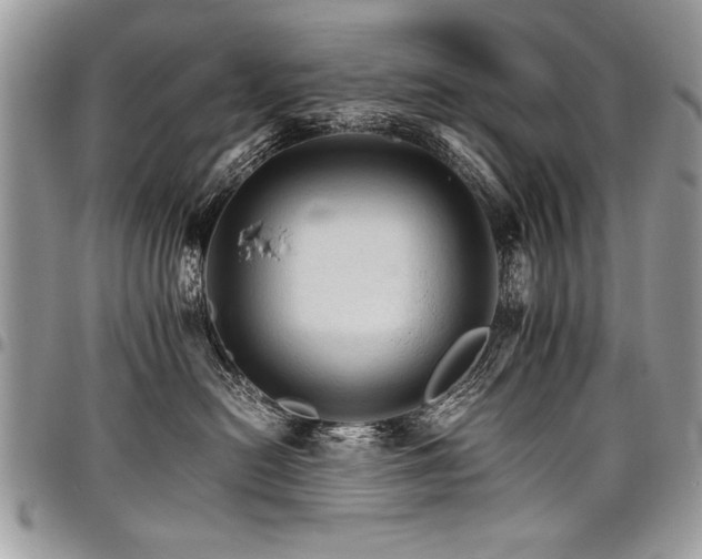 X0000098040478200803281436