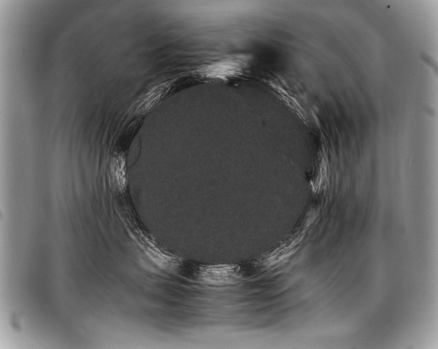 X0000098040479200803281436