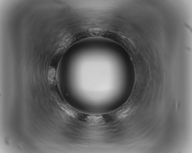 X0000098040480200803281436