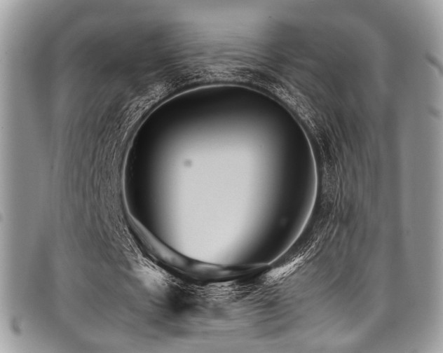 X0000098040481200803281435