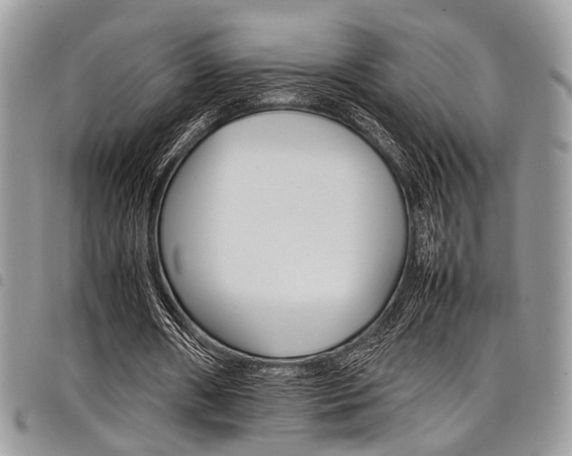 X0000098040482200803281435
