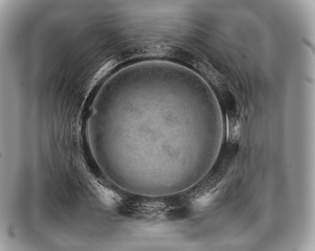 X0000098040483200803281435