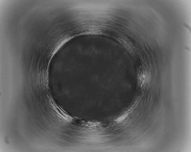 X0000098040484200803281435
