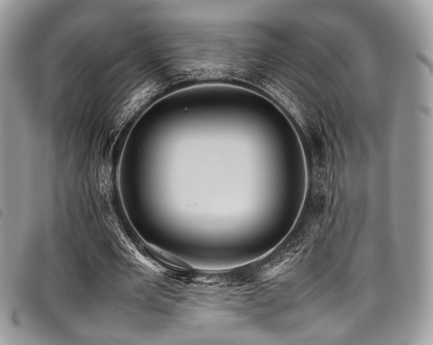 X0000098040485200803281435