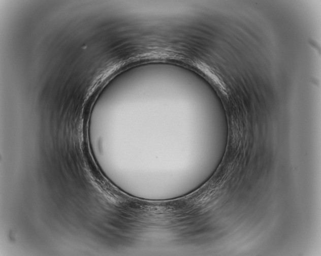 X0000098040486200803281435