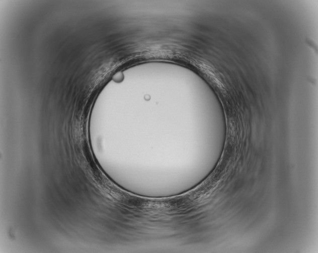 X0000098040487200803281435