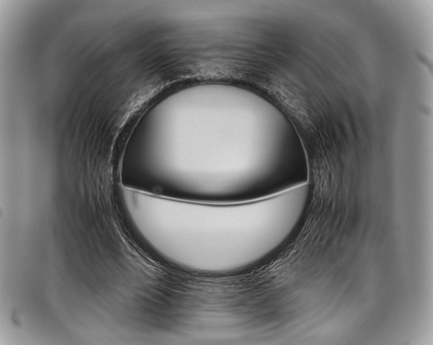 X0000098040488200803281435