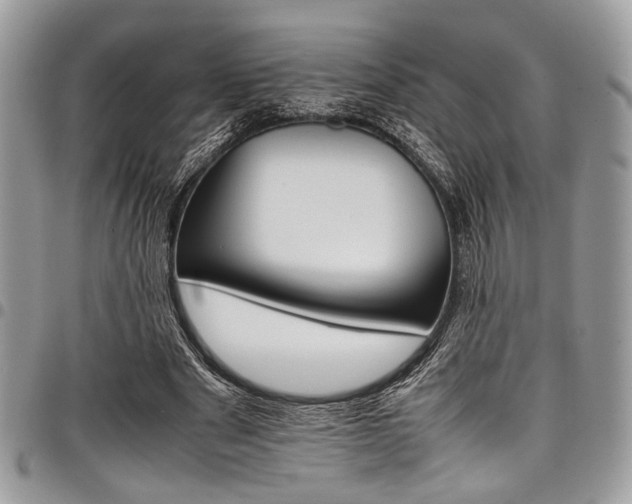 X0000098040489200803281435