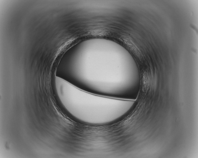 X0000098040492200803281435